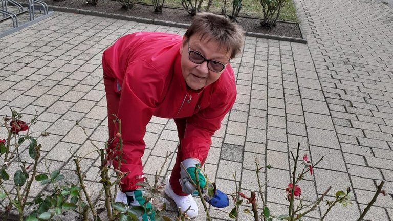 Menschen pflanzen Zwiebeln für das Jubiläum – mit Herz und Eifer
