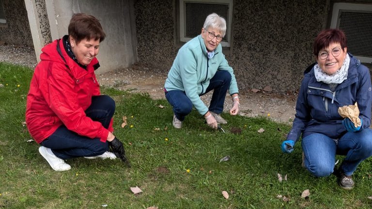Freiwillige in wetterfester Kleidung pflanzen Frühlingsblumen